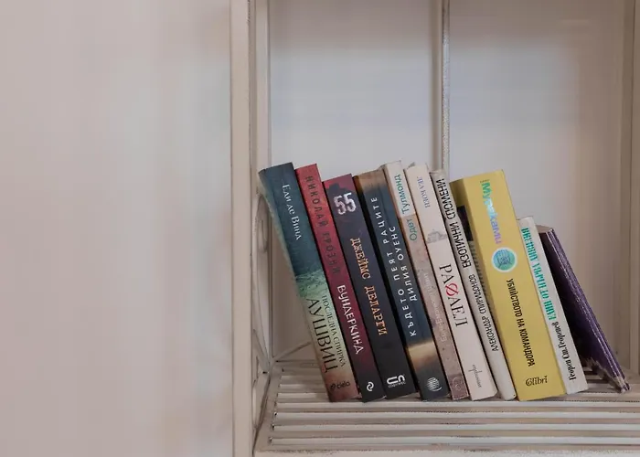 Vintage Bohemian Paradise With Xbox Series X For Big Groups