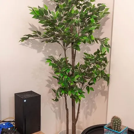 Vintage Bohemian Paradise With Xbox Series X For Big Groups Apartment *